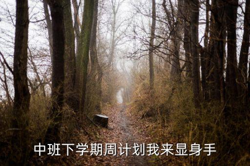 幼儿园中班下学期教育教学安排，幼儿园教学计划