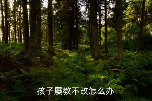 孩子屡教不改怎么办