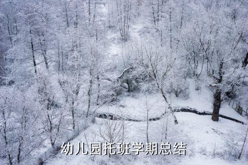 2022年小班个人总结上学期，幼儿园托班学期总结