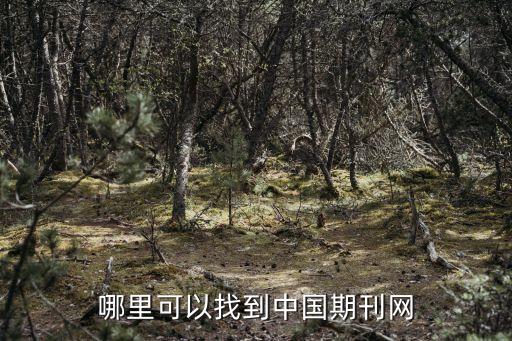 哪里可以找到中国期刊网