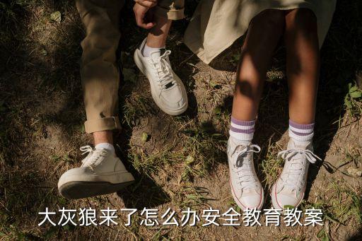 大灰狼来了怎么办安全教育教案