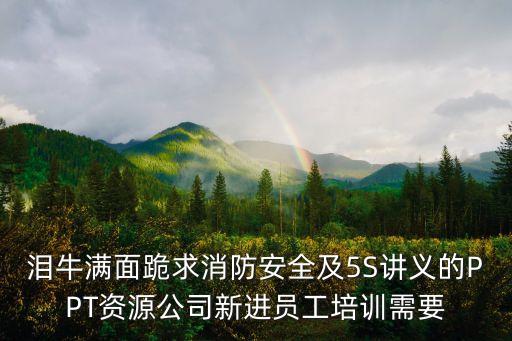 泪牛满面跪求消防安全及5S讲义的PPT资源公司新进员工培训需要
