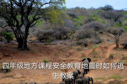 四年级地方课程安全教育地震时如何逃生教案