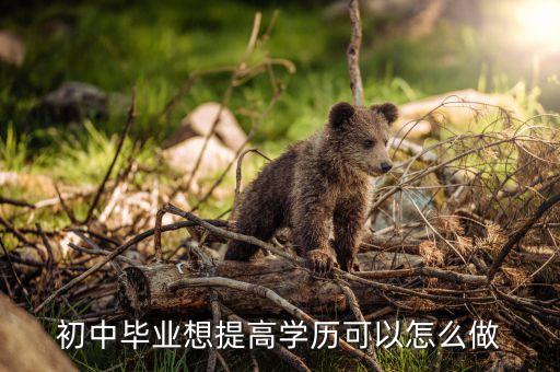 初中毕业想提高学历可以怎么做