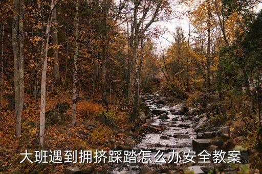 大班遇到拥挤踩踏怎么办安全教案