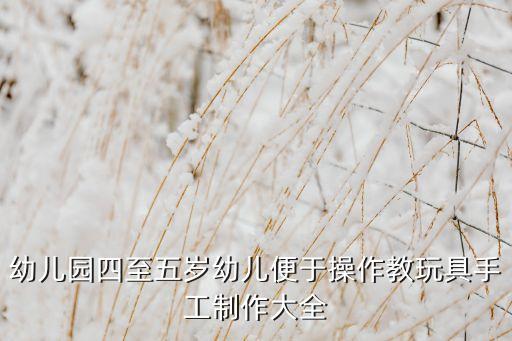 幼儿园四至五岁幼儿便于操作教玩具手工制作大全