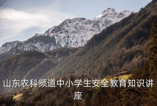 中小学生寒假安全教育公开课直播，湖南教育电视台的中小学生安全教育课
