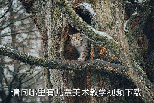 请问哪里有儿童美术教学视频下载