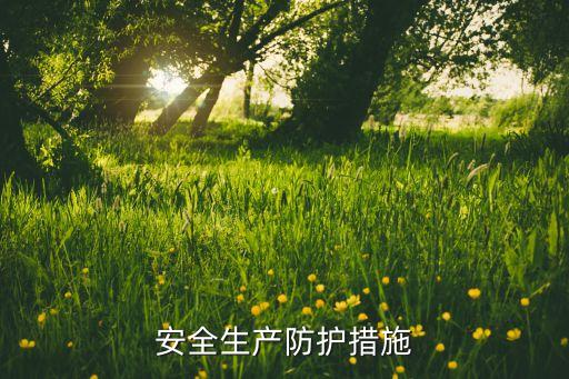公司防护措施，安全生产防护措施