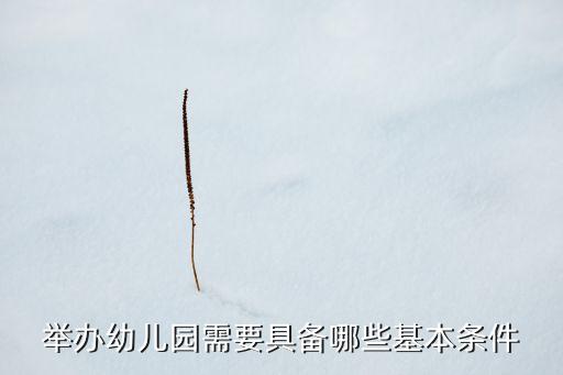 举办幼儿园需要具备哪些基本条件