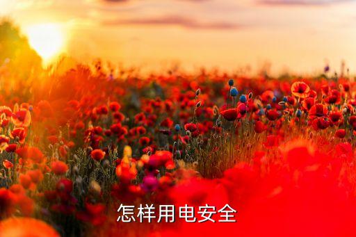 怎样用电安全