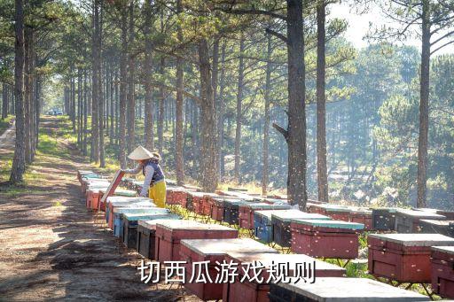 切西瓜幼儿园游戏教案，切西瓜游戏规则