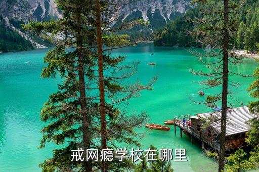 国家正规戒网瘾学校，有没有值得去的戒网瘾学校