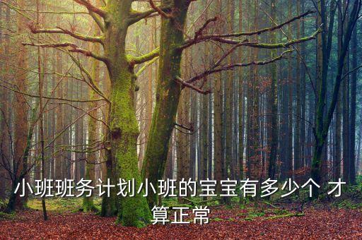 班务计划小班上学期，幼儿园小班上学期班务计划