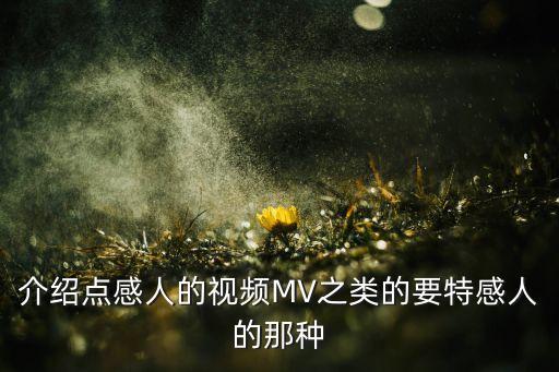 介绍点感人的视频MV之类的要特感人的那种