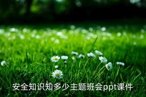 安全知识知多少主题班会ppt课件