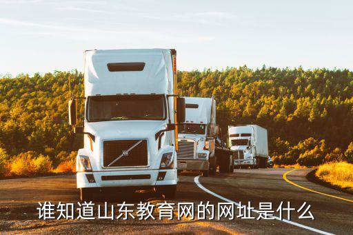 谁知道山东教育网的网址是什么