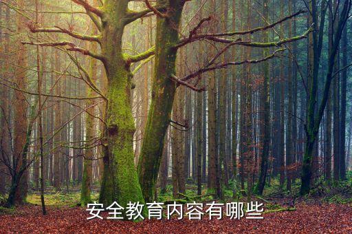 安全教育内容有哪些