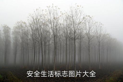 幼儿园常用安全标识图片，下面这些安全标志分别是什么含义只说含义画的不好请见谅