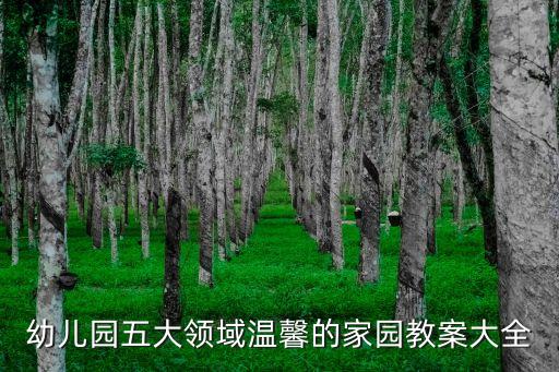 幼儿园5大领域的教案，大班科学优秀教案五大领域
