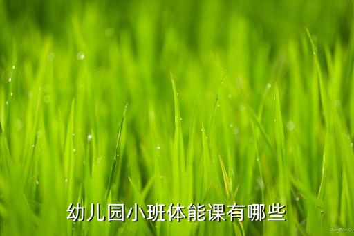 幼儿园小班体能课有哪些