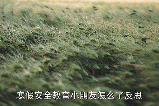 寒假安全教育小朋友怎么了反思