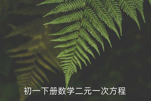 初中数学教案50篇二元一次方程，初三数学二元一次方程
