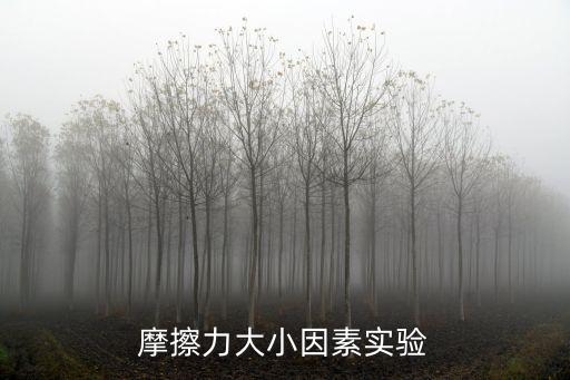 摩擦力大小因素实验