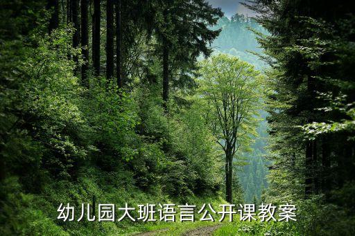 幼儿园大班语言公开课教案