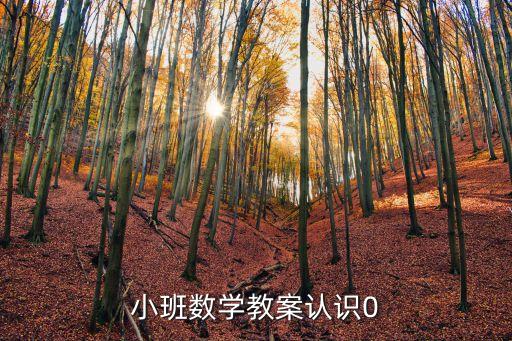 小班教案大全10篇数学，推荐小班优秀的数学教案