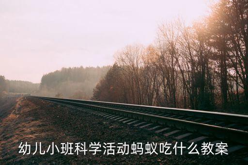 生活中的现代科技教案幼儿园小班，幼儿小班科学活动蚂蚁吃什么教案