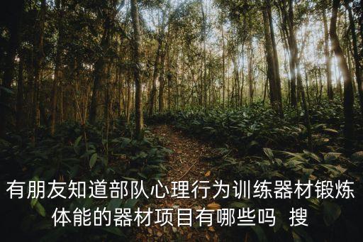 有朋友知道部队心理行为训练器材锻炼体能的器材项目有哪些吗  搜