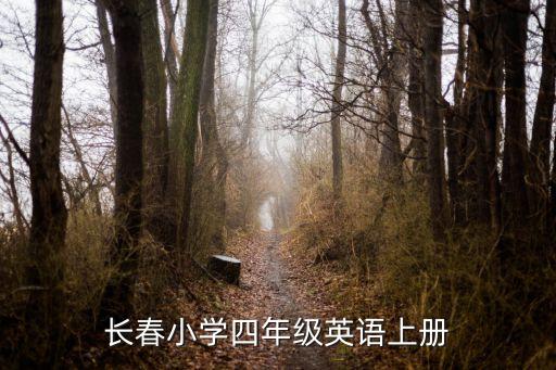 长春小学四年级英语上册