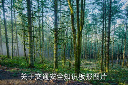 关于交通安全知识板报图片
