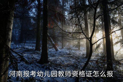 河南报考幼儿园教师资格证怎么报