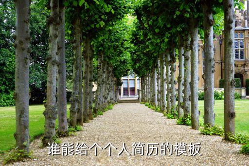 谁能给个个人简历的模板