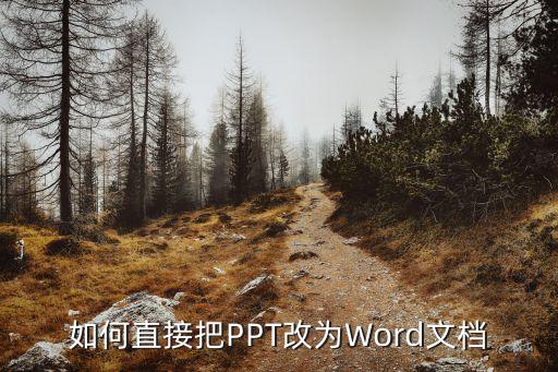 如何直接把PPT改为Word文档