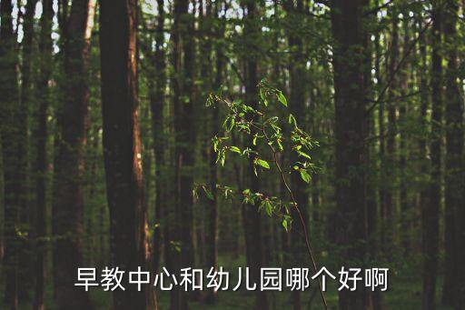 早教好还是幼儿园好，早教中心和幼儿园哪个好啊