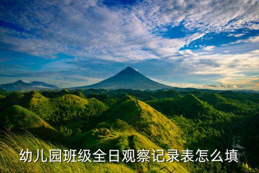 幼儿园班级全日观察记录表怎么填