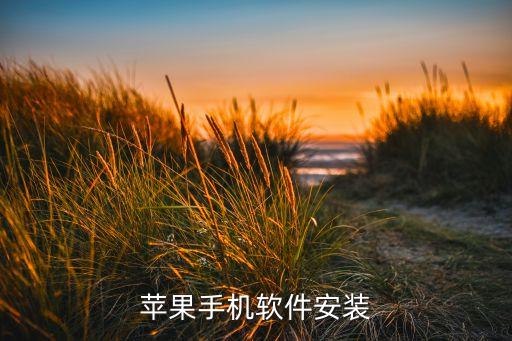 苹果手机软件安装