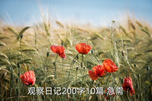 观察日记200字10篇 急需