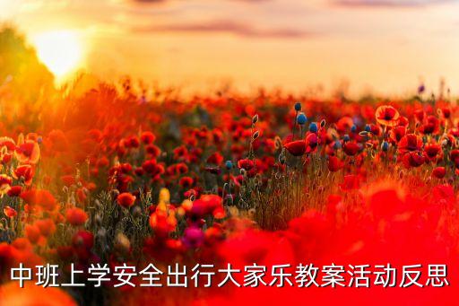 中班上学安全出行大家乐教案活动反思
