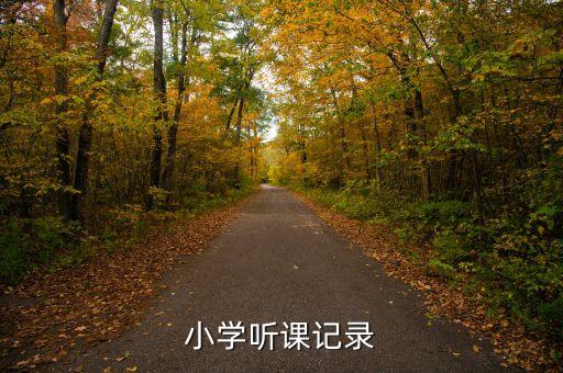 小学听课记录